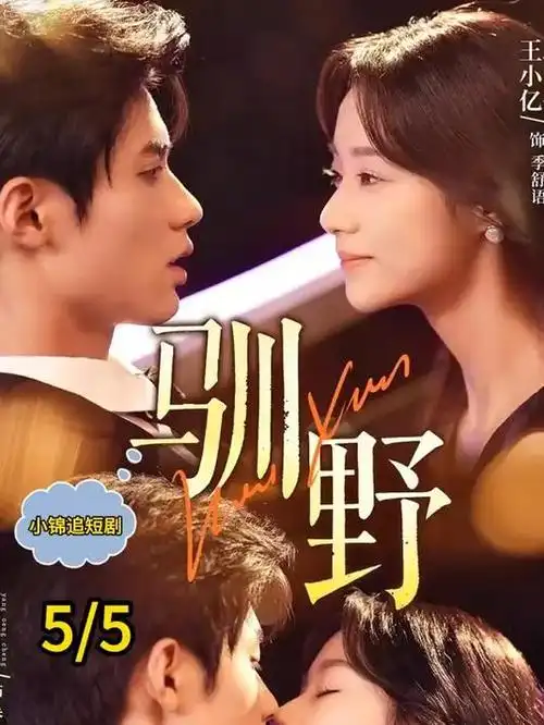纸上长安热播电视剧全集在线观看